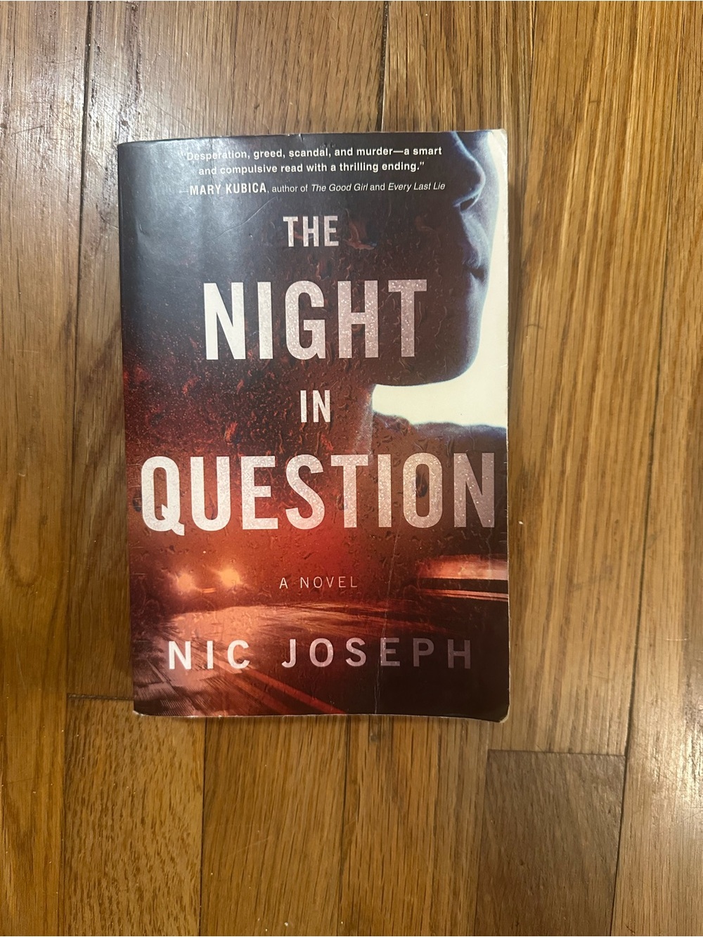 📖 The Night in Question – Nic Joseph